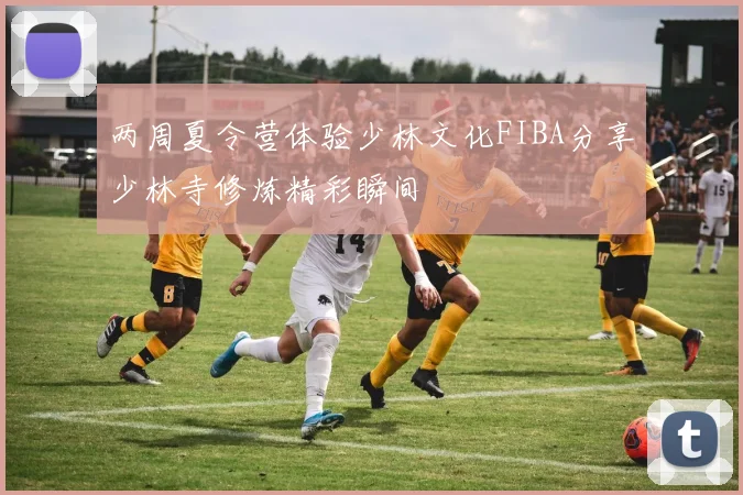 两周夏令营体验少林文化FIBA分享少林寺修炼精彩瞬间
