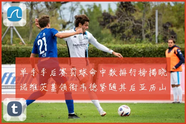 单季季后赛罚球命中数排行榜揭晓诺维茨基领衔韦德紧随其后亚历山大名列第四